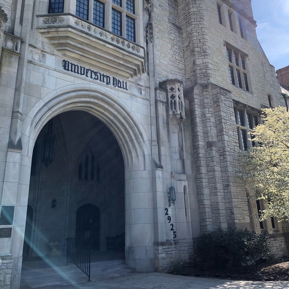 Meet your Posher, Rhiannon